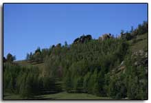 colline boisée dans le Terelj