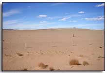le sable du désert de Gobi en Mongolie
