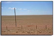 l'entrée dans le désert de Gobi : quelques rares touffes de végétation