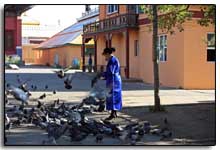 une Mongole nourrit les pigeons au monastère