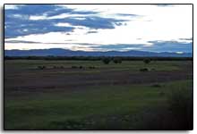 paysage en partant de Souke Baatar