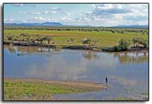premiers paysages de Mongolie
