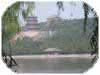 Chine