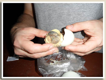 oeuf philippines