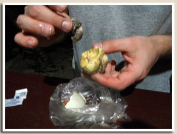 balut