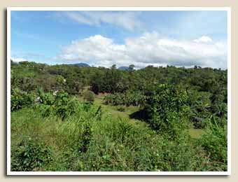 Palawan paysage très vert