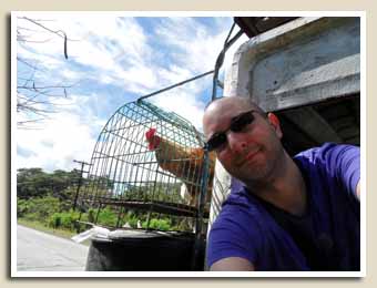 Arnaud et le poulet