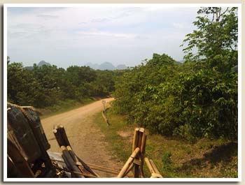 limte de vitesse à Palawan